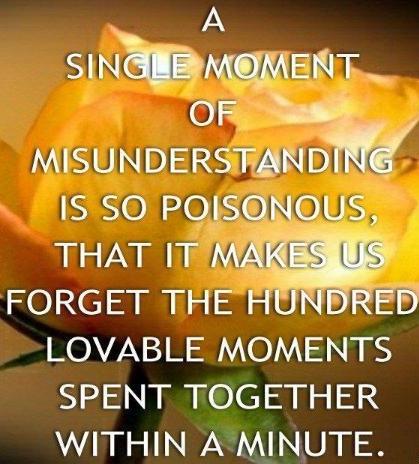 A single moment of misunderstanding is so poisonous, that it makes us forget the hundred lovable moments spent together within a minute.